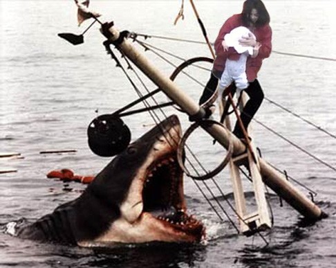 Shark Attack fotoğrafı