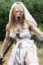 Köpek Evi Fotoğrafı