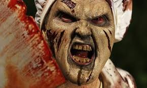 Köpek Evi Fotoğrafı