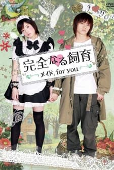 Kanzen Naru Shiiku: Maid For You (2010) afişi