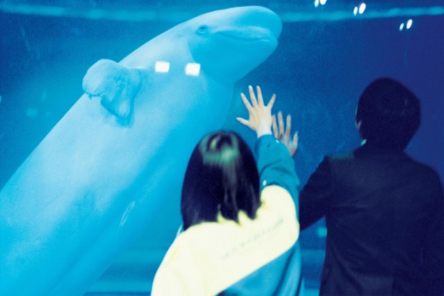 Sweet Little Lies Fotoğrafı