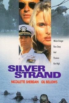 Gümüş Sahil (1995) afişi