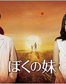 Kız Kardeşim (2009) afişi