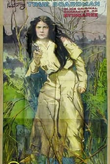 Stingaree (1915) afişi