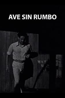 Ave Sin Rumbo (1937) afişi
