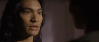 Ormanın Kitabı Fotoğrafı