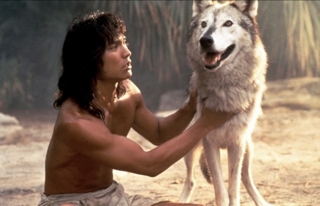 Ormanın Kitabı fotoğrafı