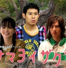 Samayoi Zakura (2009) afişi