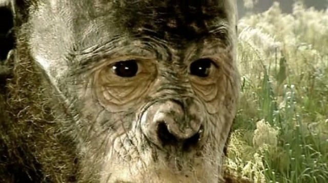 Walking With Cavemen fotoğrafı