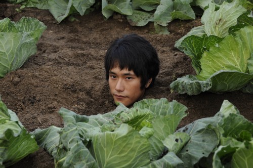 Bare Essence Of Life Fotoğrafı