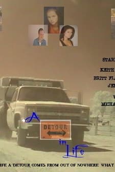 A Detour In Life (2011) afişi