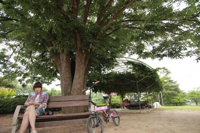 Beautiful Legacy Fotoğrafı