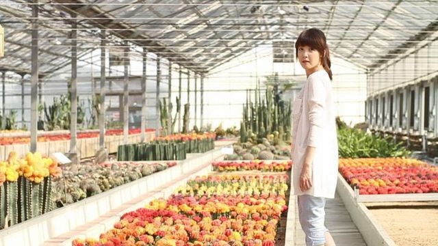 Beautiful Legacy Fotoğrafı