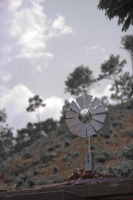 Beautiful Legacy Fotoğrafı