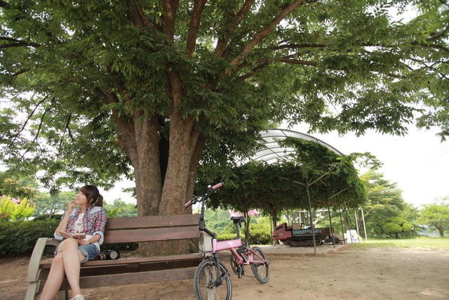 Beautiful Legacy Fotoğrafı