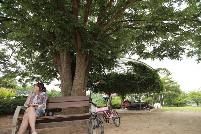 Beautiful Legacy Fotoğrafı