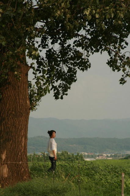 Beautiful Legacy Fotoğrafı