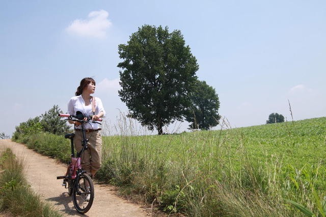 Beautiful Legacy Fotoğrafı