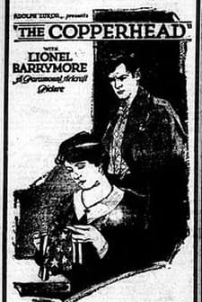 The Copperhead (1920) afişi