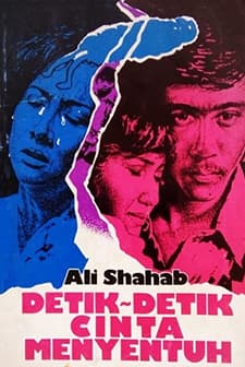 Detik-detik Cinta Menyentuh (1981) afişi