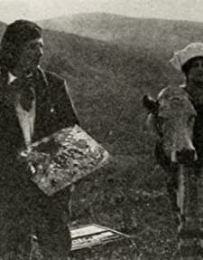 The Dream Dance (1915) afişi