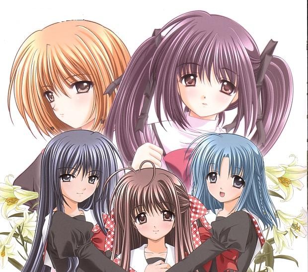 Final Approach Fotoğrafı