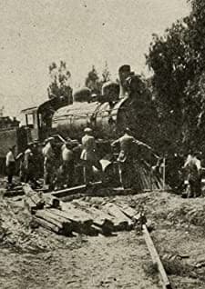 The Stolen Engine (1914) afişi