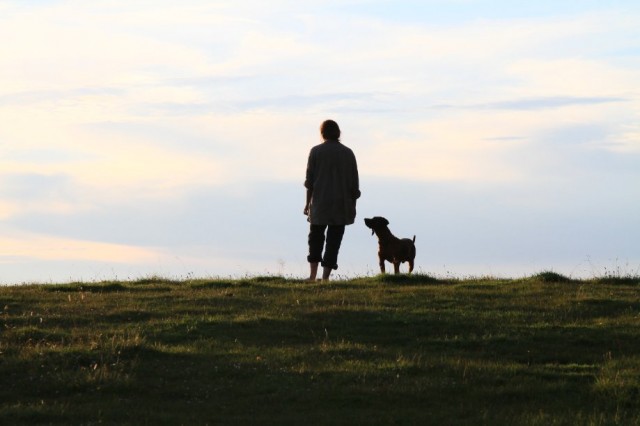 The Wall Fotoğrafı