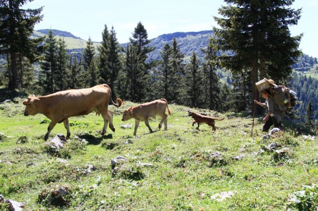 The Wall Fotoğrafı