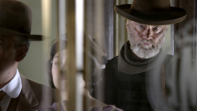 Blackthorn Fotoğrafı