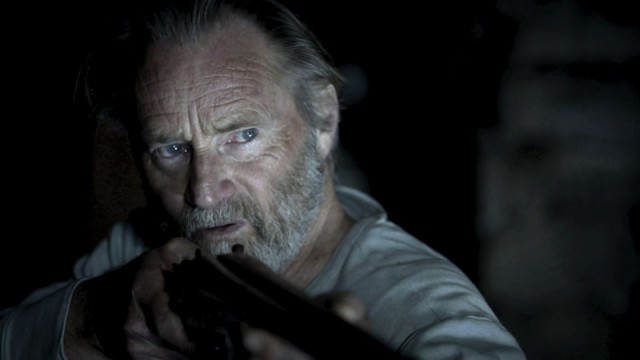 Blackthorn Fotoğrafı