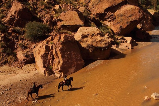 Blackthorn Fotoğrafı
