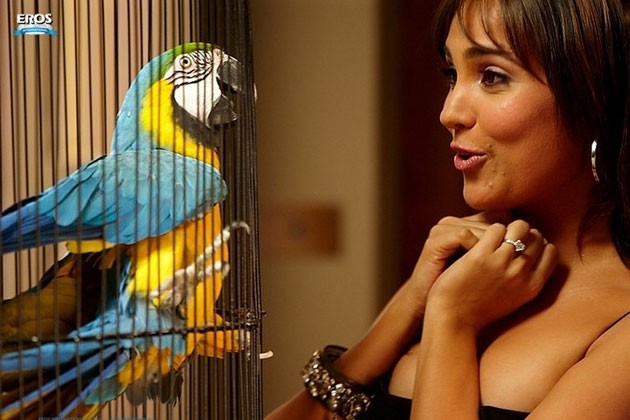 Housefull Fotoğrafı