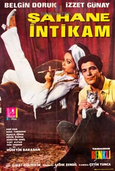 Şahane intikam (1969) afişi