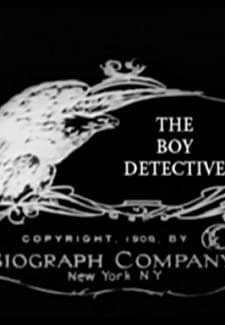 The Boy Detective, Or The Abductors Foiled (1908) afişi
