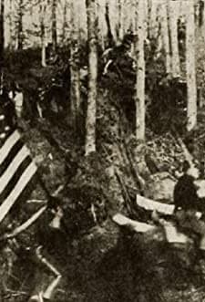 A Fair Rebel (1914) afişi