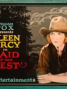 Maid Of The West (1921) afişi