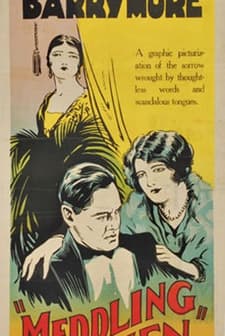 Meddling Women (1924) afişi