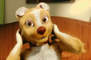 Sokakların Kralı Romeo Fotoğrafı