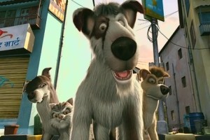 Sokakların Kralı Romeo Fotoğrafı