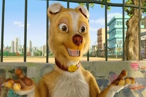 Sokakların Kralı Romeo Fotoğrafı