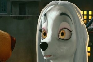 Sokakların Kralı Romeo Fotoğrafı