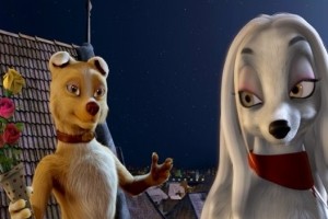 Sokakların Kralı Romeo Fotoğrafı