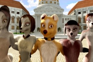 Sokakların Kralı Romeo Fotoğrafı