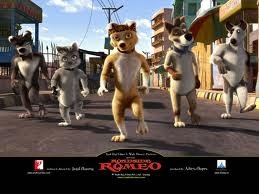 Sokakların Kralı Romeo Fotoğrafı