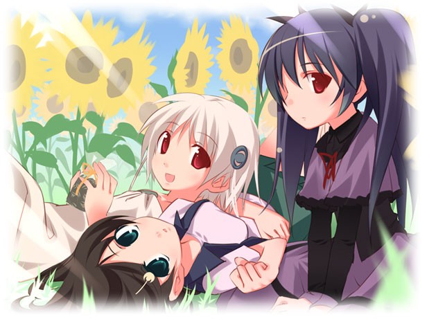 Himawari! fotoğrafı