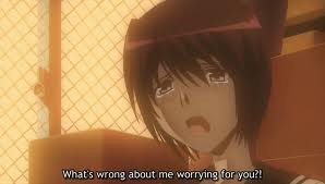 Hitohira Fotoğrafı