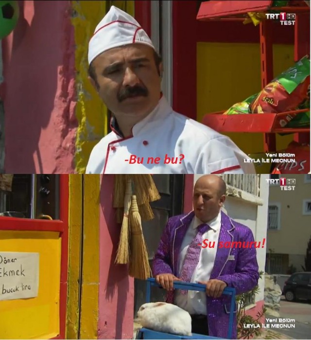 Leyla ile Mecnun Fotoğrafı