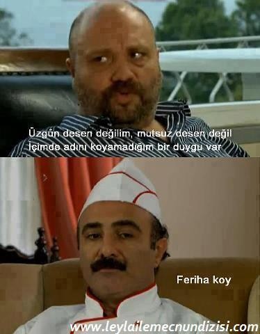 Leyla ile Mecnun Fotoğrafı