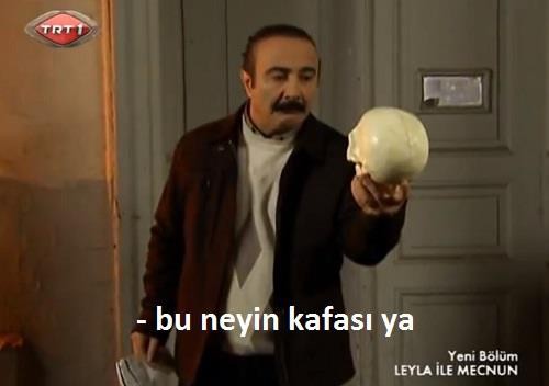 Leyla ile Mecnun Fotoğrafı